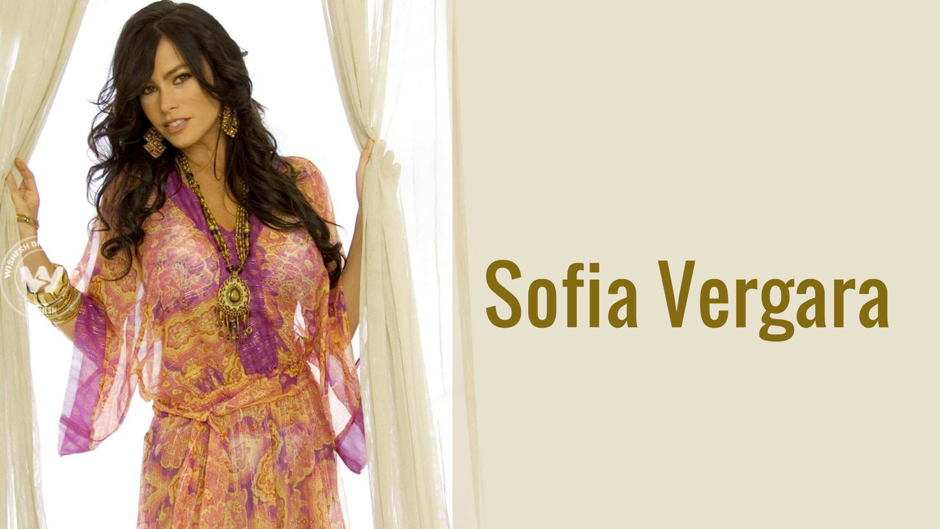 Wallpaper 14of 15 | Sofia Vergara Spicy Gallery. | Sofia Vergara Spicy Wallpapers | Actress Sofia Vergara Spicy Pictures